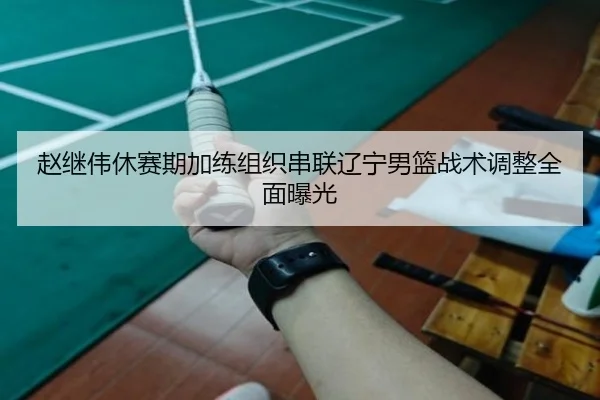 赵继伟休赛期加练组织串联辽宁男篮战术调整全面曝光